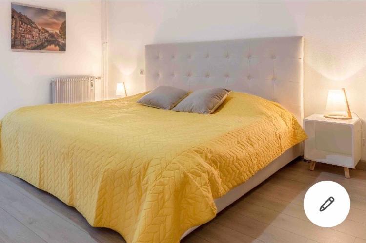Appartement Colmar Centre Historique Avec Garage エクステリア 写真